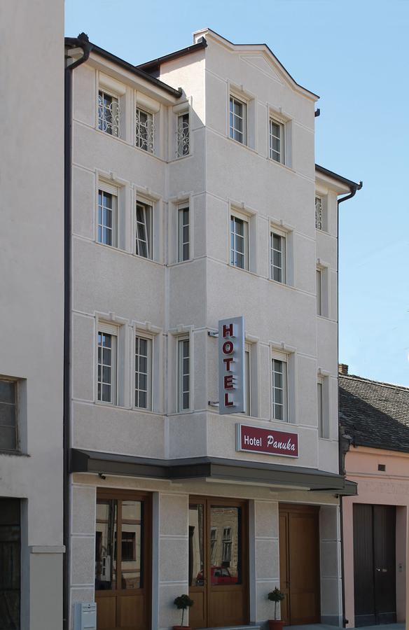 B&B Villa Panuka Pančevo エクステリア 写真